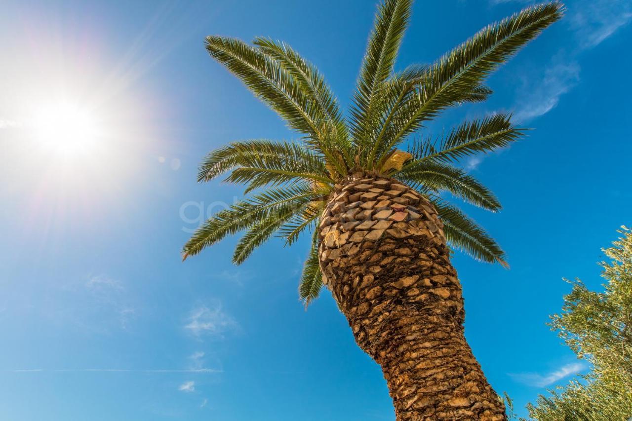 Near The Beach Apartments Jagodia Brela Εξωτερικό φωτογραφία
